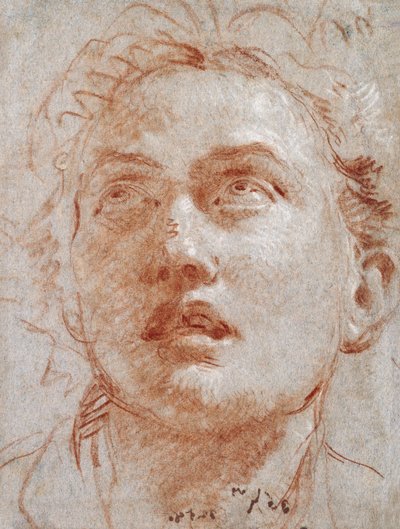 Kopf eines Mannes, der nach oben schaut von Giovanni Battista Tiepolo
