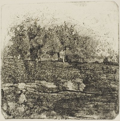 Bäume auf einer Wiese von Giovanni Fattori
