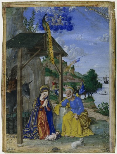 Einzelne Miniatur: Die Geburt Christi von Girolamo dai Libri