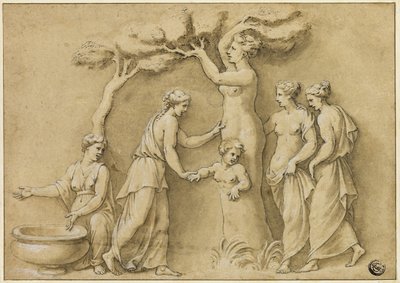 Geburt des Adonis von Giulio Romano
