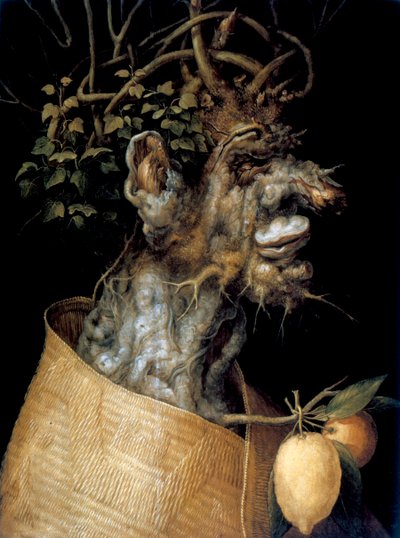 Winter, 1563 von Giuseppe Arcimboldi