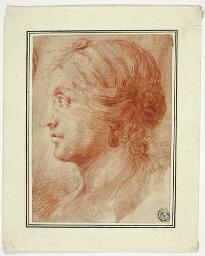 Büste einer Frau im Profil nach links von Godfrey Kneller