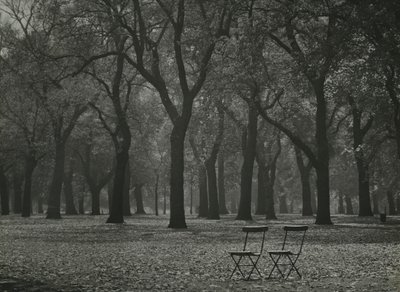 Herbstbäume im Hyde Park, London von Godfrey Macdominic