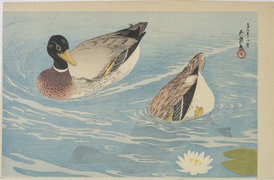 Enten, August 1920 von Goyo Hashiguchi