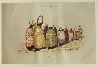 Famille de Scarabees, 1828-29 von Grandville