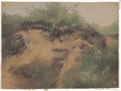 Dünenmulde von Guillaume Anne van der Brugghen