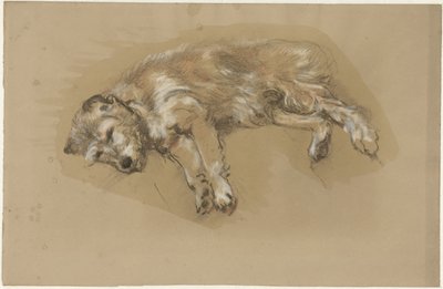 Liegender Hund von Guillaume Anne van der Brugghen