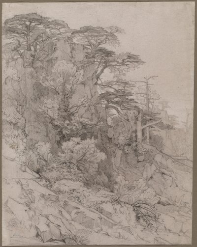 Bäume einer felsigen Hügellandschaft von Gustave Achille Guillaumet