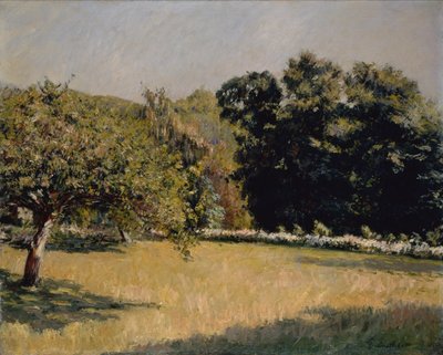 Ein Garten in Trouville von Gustave Caillebotte