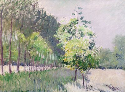 Obstgarten und Baumallee von Gustave Caillebotte