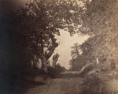 Fontainebleau, sandiger Weg, ca. 1856 von Gustave Le Gray