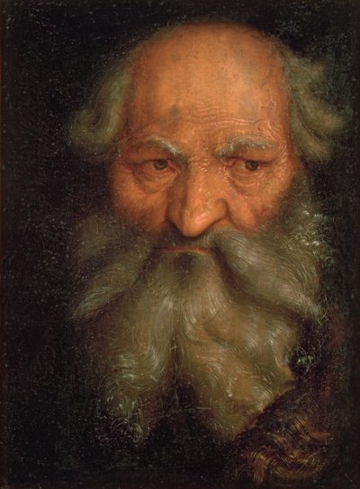 Kopf eines alten Mannes von Hans Baldung Grien