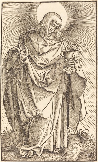 Heiliger Johannes von Hans Baldung Grien