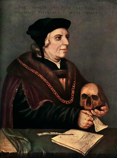 Sir William Butts ca. 1486-1545, 1543 von Hans Holbein der Jüngere