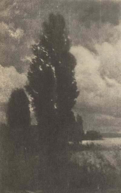 Camera Work: Pappeln und Wolken, 1906 von Hans Watzek