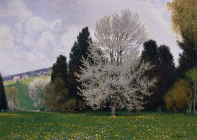 Frühling im Wienerwald von Hans Wilt