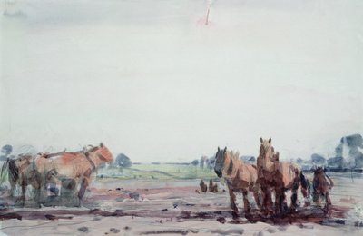Pflugpferde von Harry Becker
