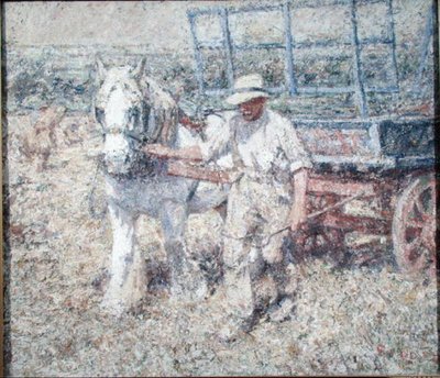 Der Pflüger von Harry Fidler