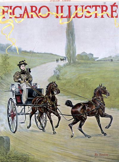 Frau fährt Kutsche von Harry Finney