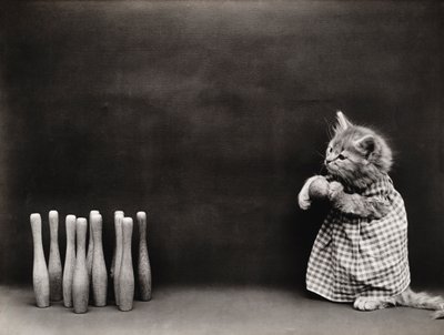 Kitties Serie: Bowling, ca. 1914 von Harry Whittier Frees