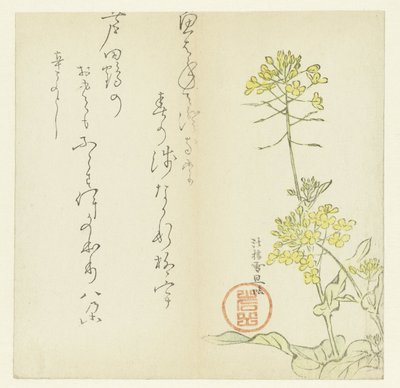 Blumen von Hasegawa Settan