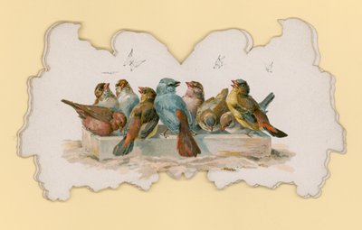 Vögel (farbige Lithografie) von Hector Giacomelli