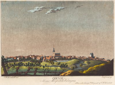 Odense von Heinrich Grosch