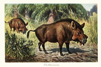 Entelodon, ausgestorbene Gattung der Entelodonten von Heinrich Harder