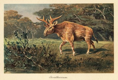 Sivatherium giganteum in einer Dschungellichtung von Heinrich Harder