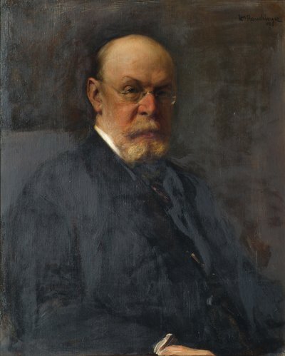 Der Sektionschef Alfred Ritter von Bernd von Heinrich Rauchinger