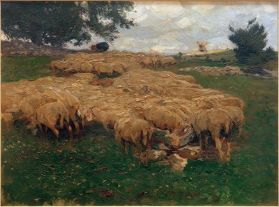Schafherde auf der rauen Alb von Heinrich von Zügel