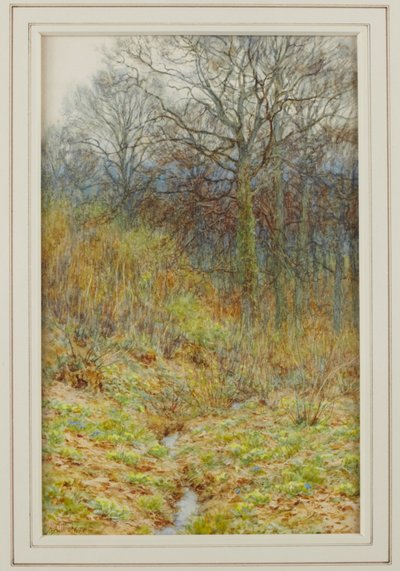 Unser Primelwald, 1913 von Helen Allingham