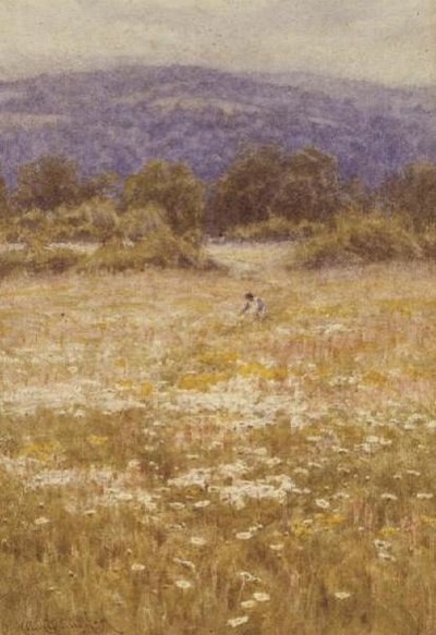 Sommerblumen von Helen Allingham
