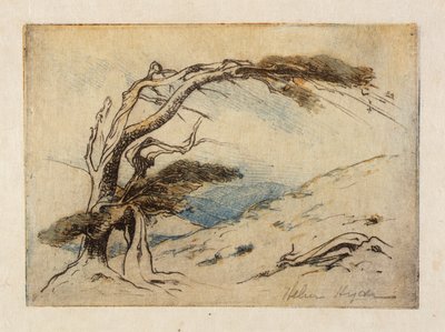 Überleben des Stärkeren von Helen Hyde