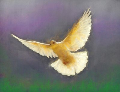 Friedensbringer, 2019 von Helen White