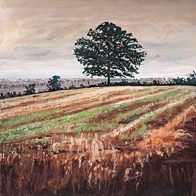 Spätnachmittagsfeld, 2009 von Helen White