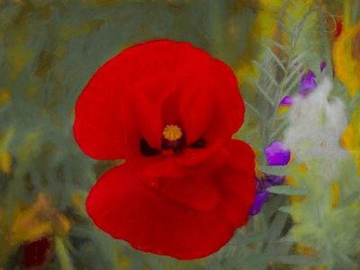 Scharlachrot von Helen White