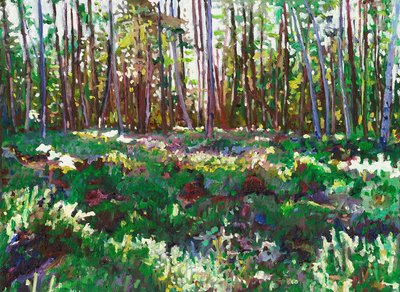 Sonnenlicht auf Heidekraut, 2011 von Helen White