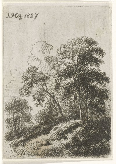 Bäume auf einem Hügel von Hendrik Jan Hein