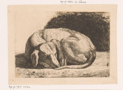 Schlafender Hund von Hendrik Jozef Franciscus van der Poorten