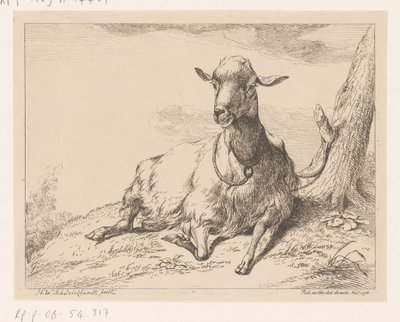 Liegende Ziege, Verschiedene Tiere (Serientitel) von Hendrik Willem Schweickhardt