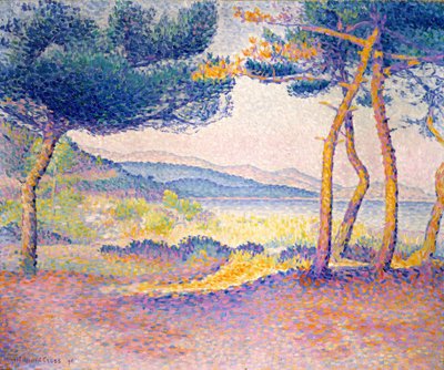 Kiefern am Ufer von Henri Edmond Cross