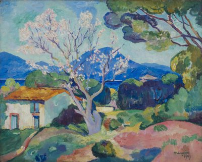 Mandelbaum in Blüte, 1907 von Henri Charles Manguin