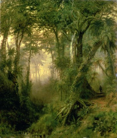 Ein Jäger im kubanischen Dschungel, Sonnenaufgang von Henri Cleenewerck