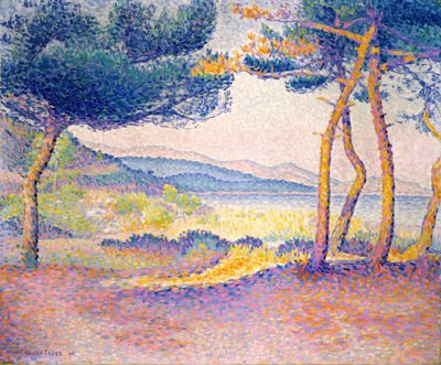 Kiefern entlang der Küste, 1896 von Henri Edmond Cross