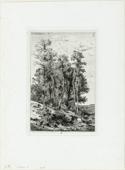 Birken und Eichen von Henri Joseph Harpignies