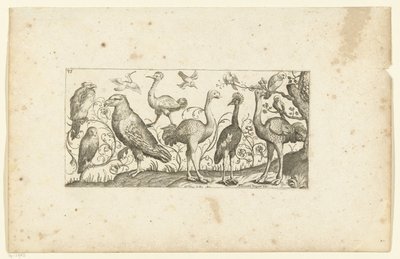 Zwölf Vögel von Henri Le Roy