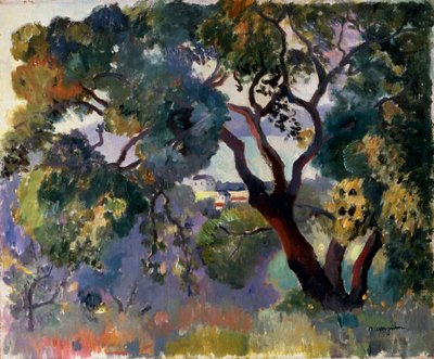 Landschaft in Saint-Tropez, 1905 von Henri Manguin