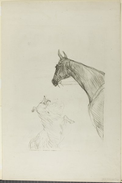 Pferd und Collie von Henri de Toulouse Lautrec