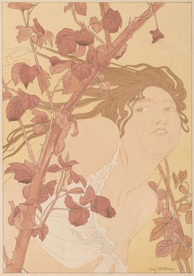 In den Brombeeren von Henry Detouche